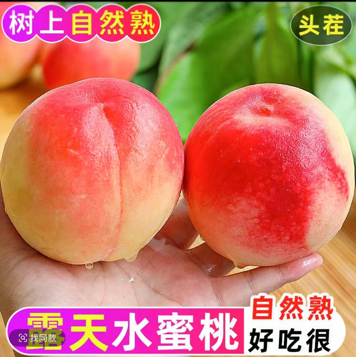 正宗水蜜桃新鲜现摘当季水果脆爽多汁树熟露天桃香浓郁