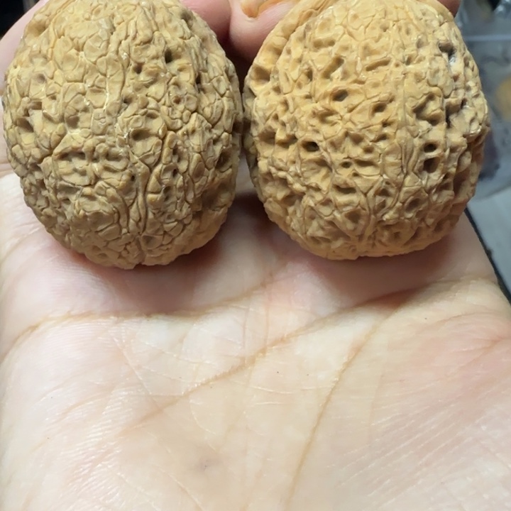 吊坠文玩核桃恐龙蛋40