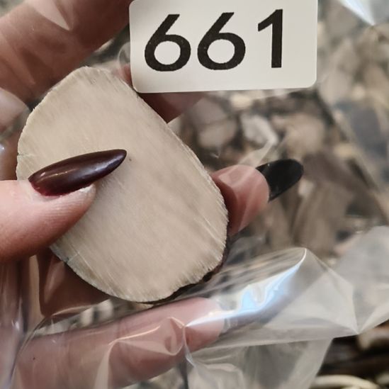 博***览鹿角鹿角鹿角鹿角鹿角鹿角鹿角鹿角鹿角