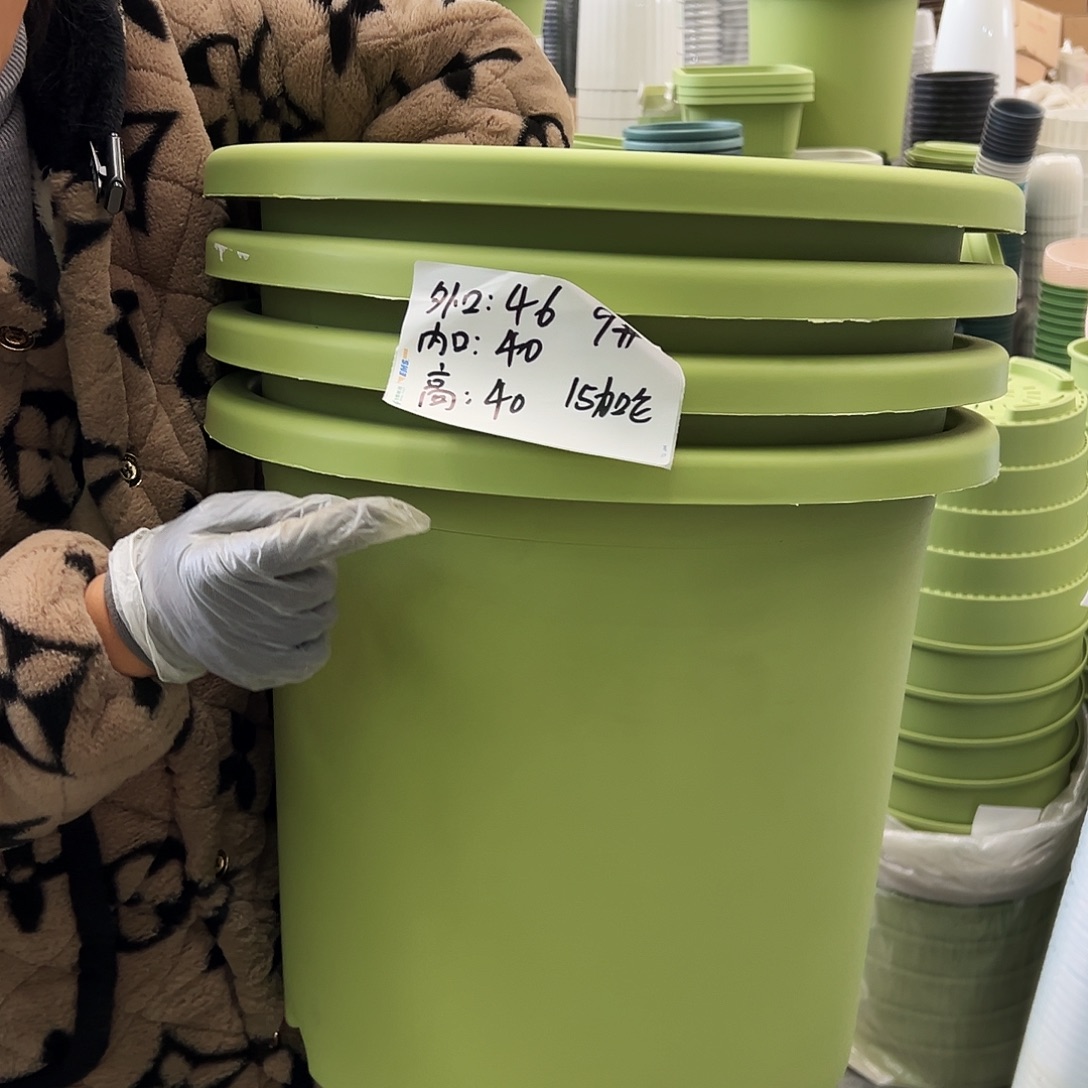 四季盆9#果绿色4个无托