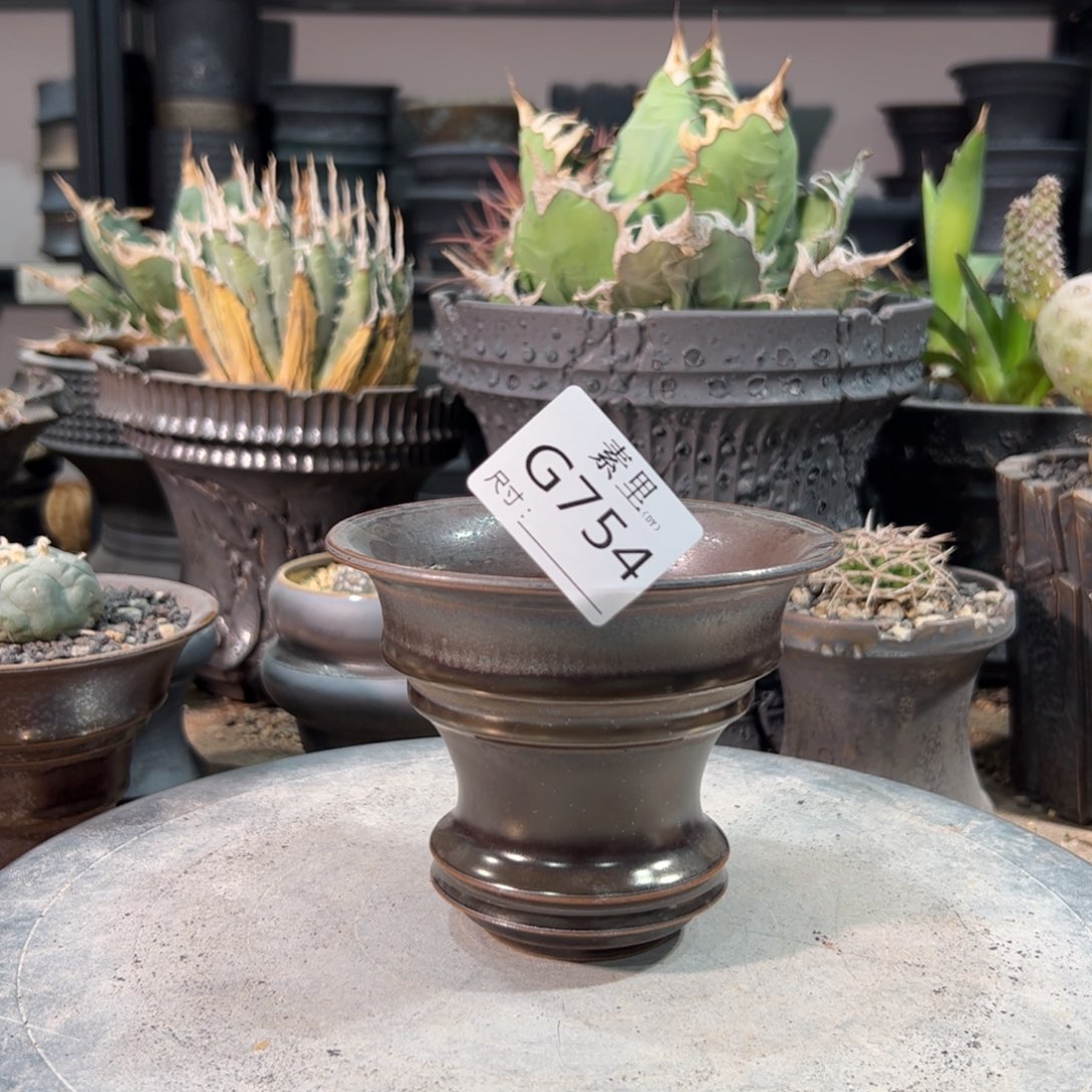 景德镇素里手工内口11.5高9.5