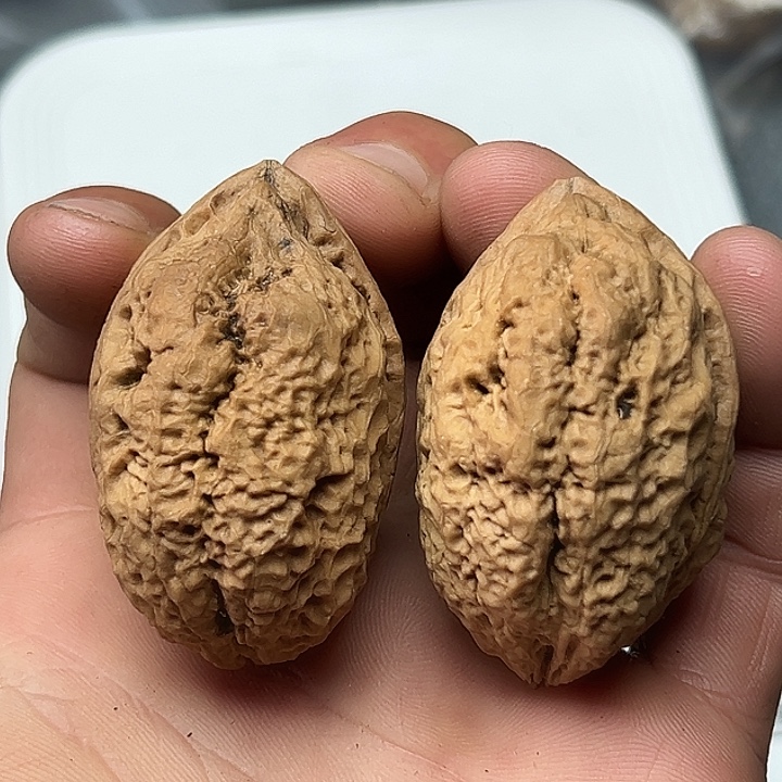 文玩核桃把件50号云铁37尺50克