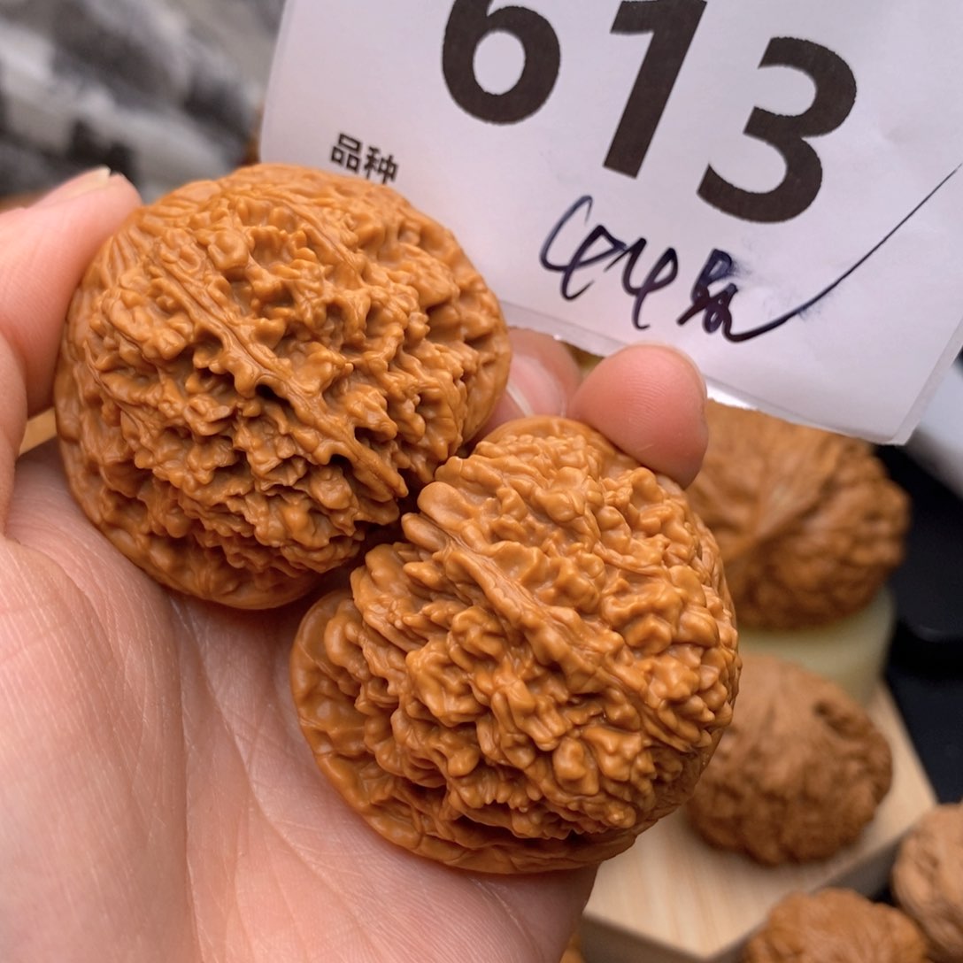 文玩核桃把件613号44星