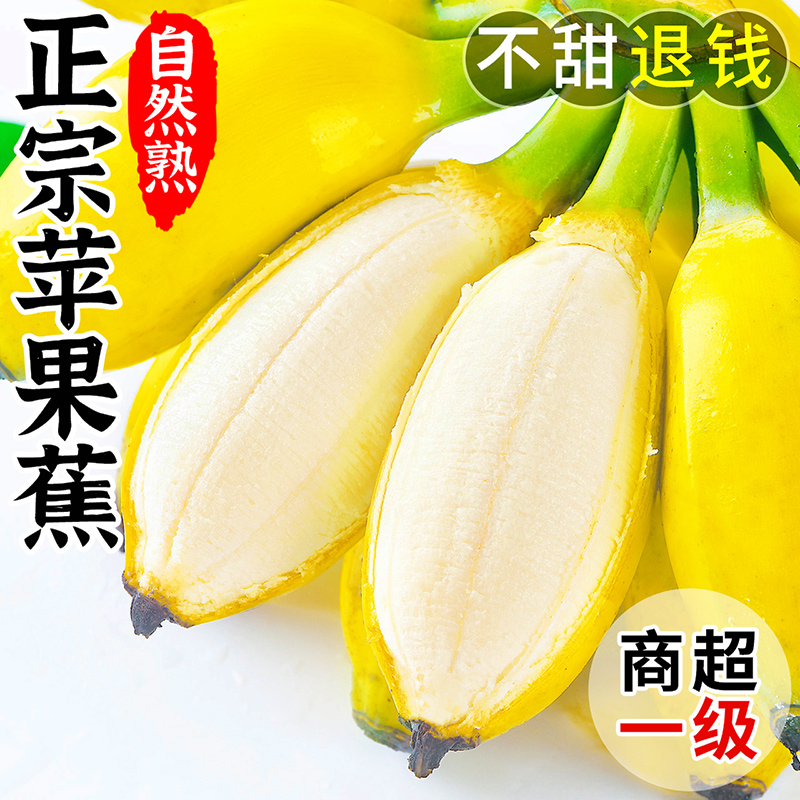 正宗广西苹果蕉香蕉新鲜自然熟斤10大果广东粉蕉小米蕉皇帝蕉现摘