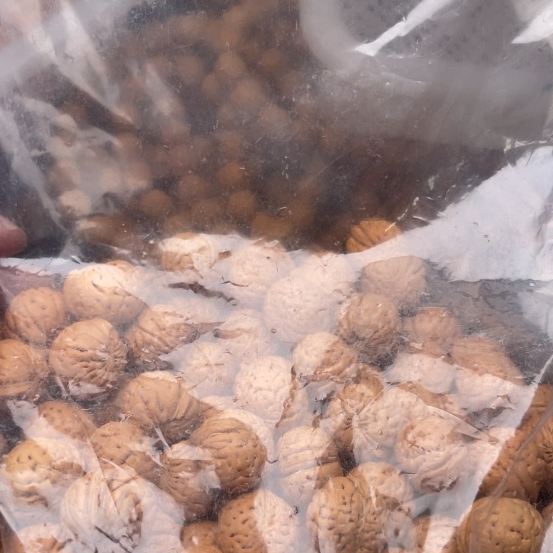 【闪购商品】㟤散子批发260米