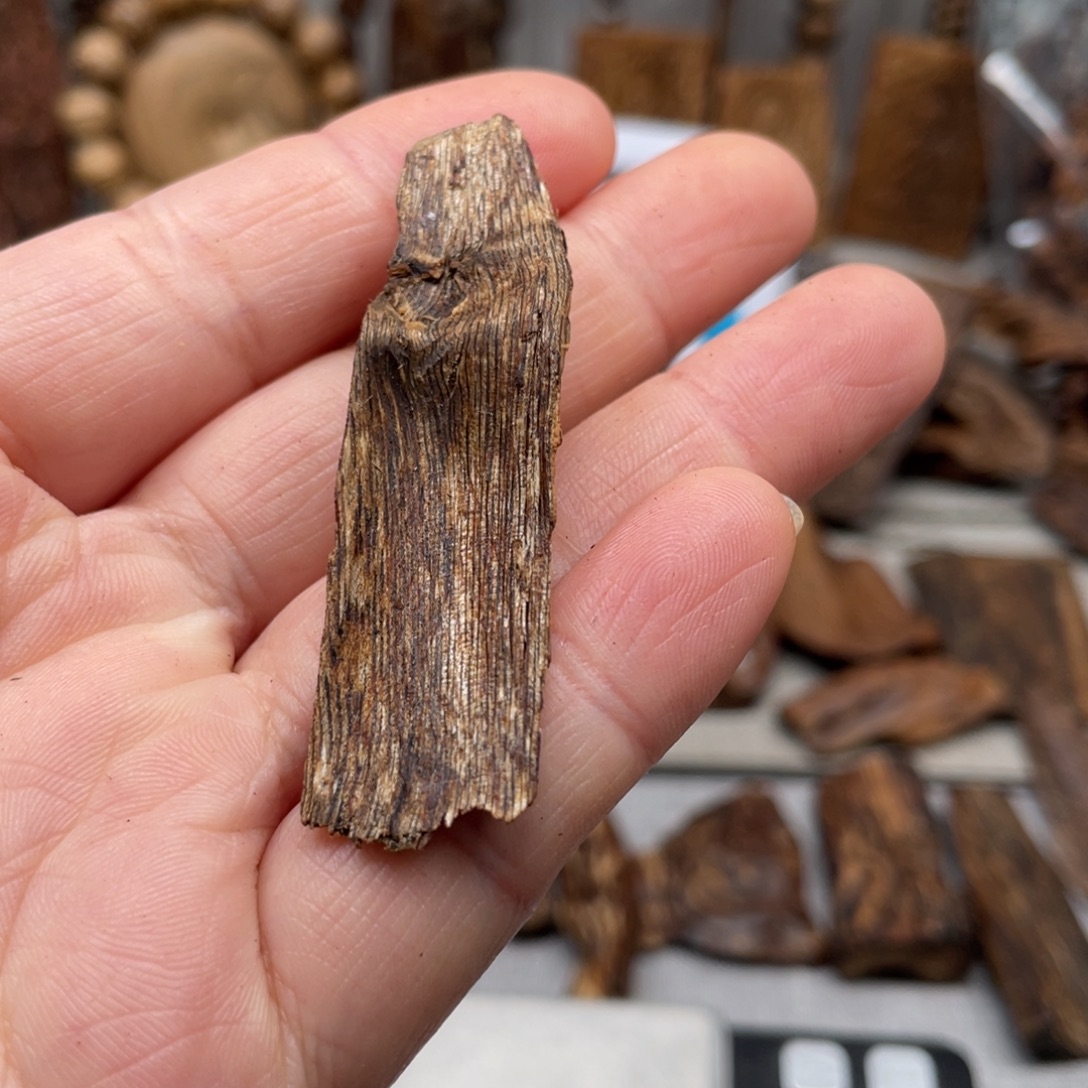 沉香沉香碎屑柬埔寨