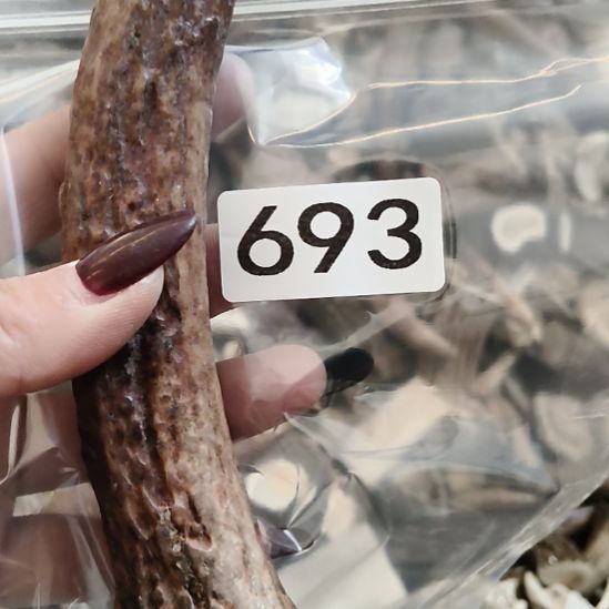 随***风鹿角鹿角鹿角鹿角鹿角鹿角