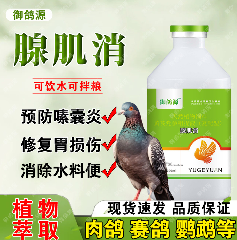 腺肌消鸽子鹦鹉鸟用过料消瘦干吃不长消化不良鸽子生长缓慢