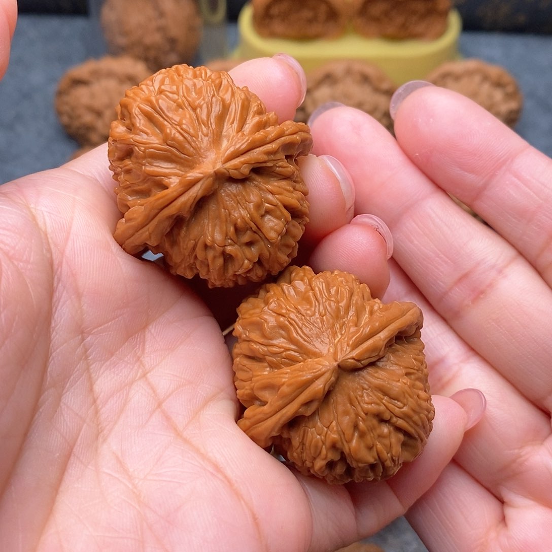 文玩核桃把件d**土精品白狮子球白40全品