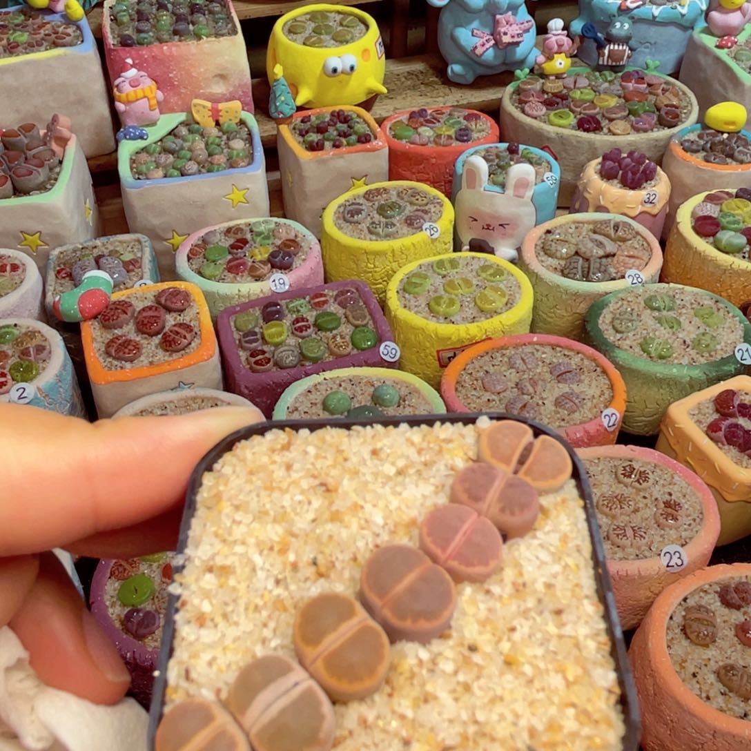 176。88888888888888888888