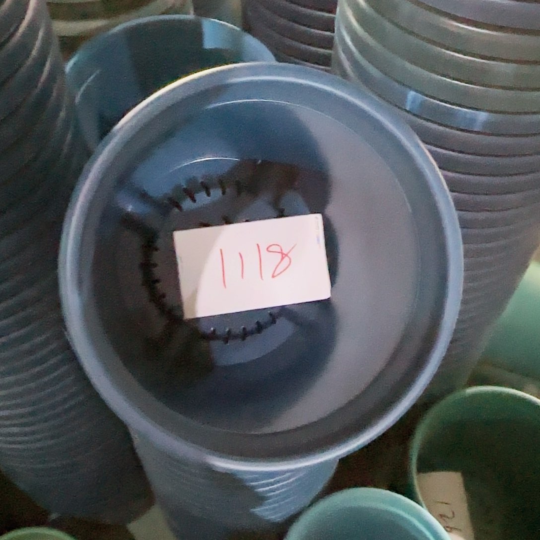 树脂编号。    1118