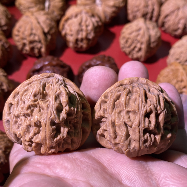 三角白狮子头专拍链接