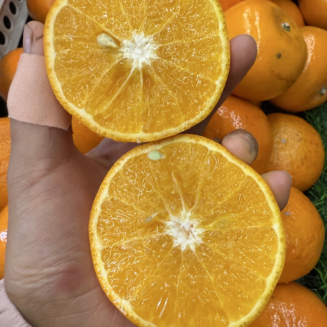 沃柑 纯甜净重4斤广西壮族自治区