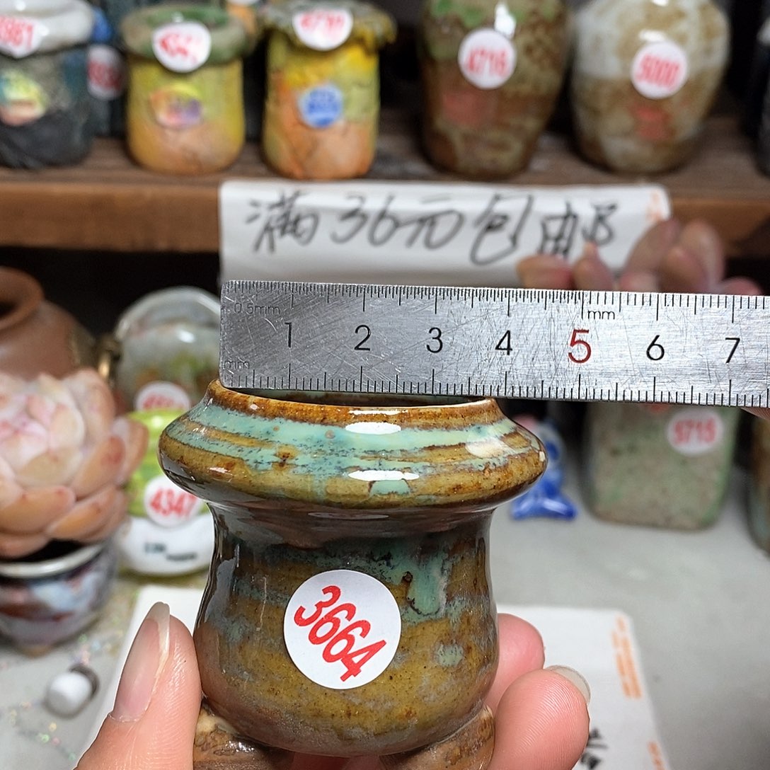 红陶拍5送一个小