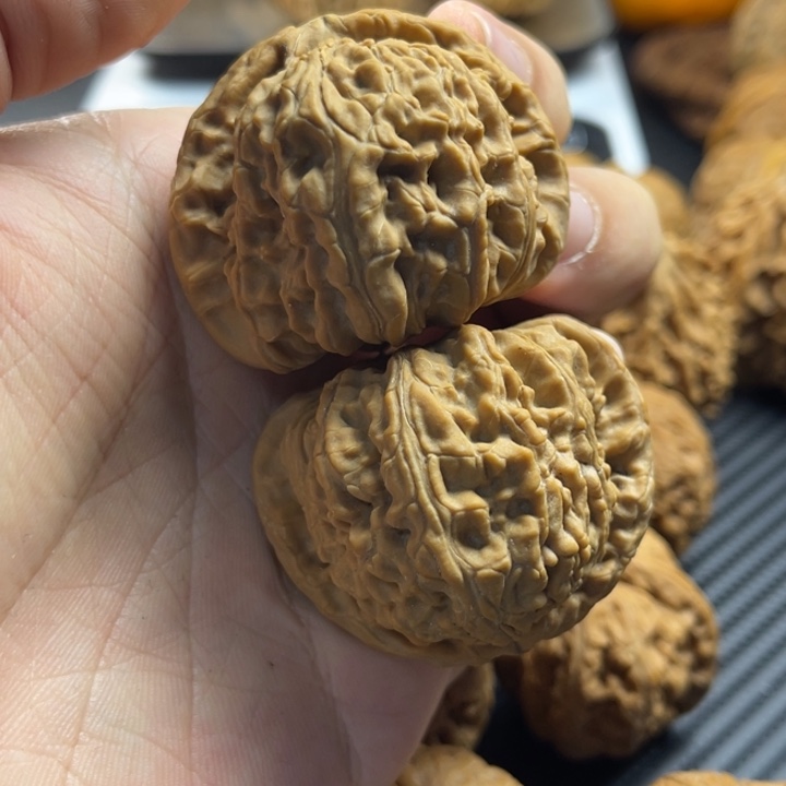 飞***洋文玩核桃把件45大白狮子（头微微黄
