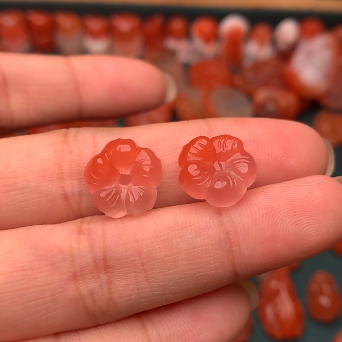 【闪购商品】未镶嵌南红玛瑙珠宝奇石