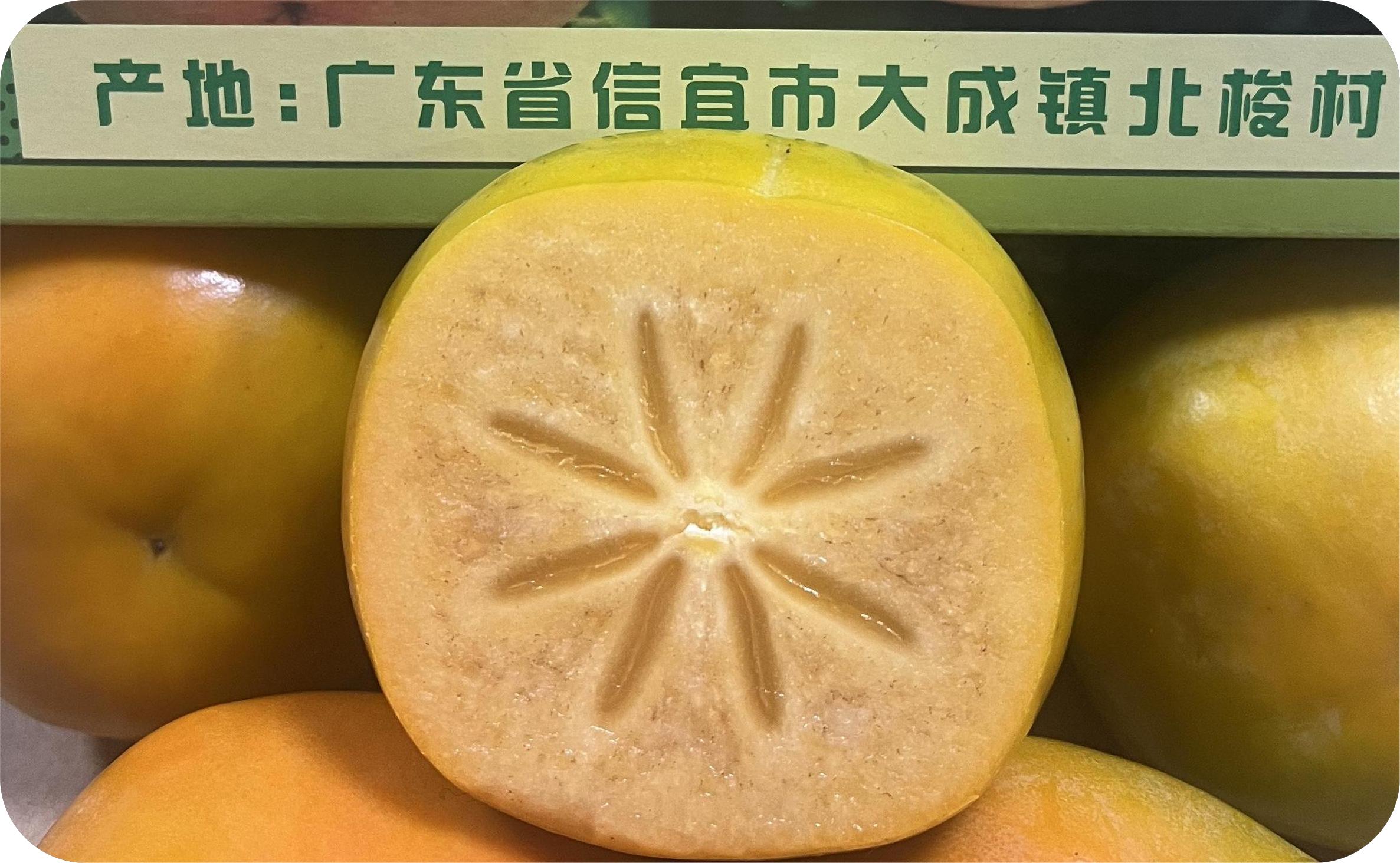 广东信宜大成北梭甜柿自然脱涩无需泡水