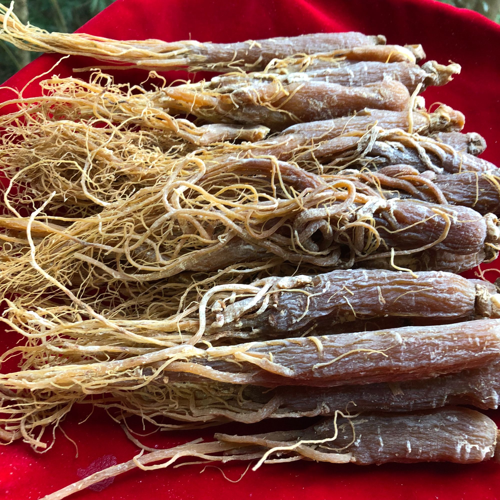 1【百-年-红-参】净含量100g-1000g【万万现收】