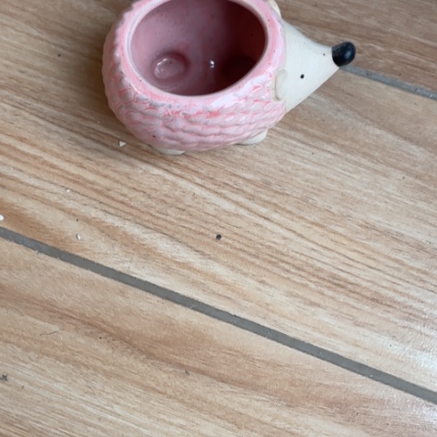 【闪购商品】杯摆件摆件摆件摆件摆件不