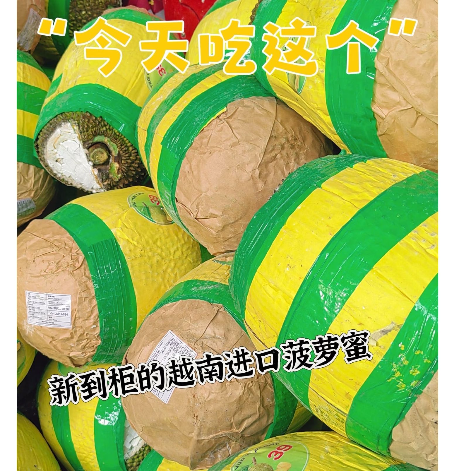 越南老树红肉菠萝蜜10-13斤整个发货黄肉菠萝蜜越南社会主义共和国