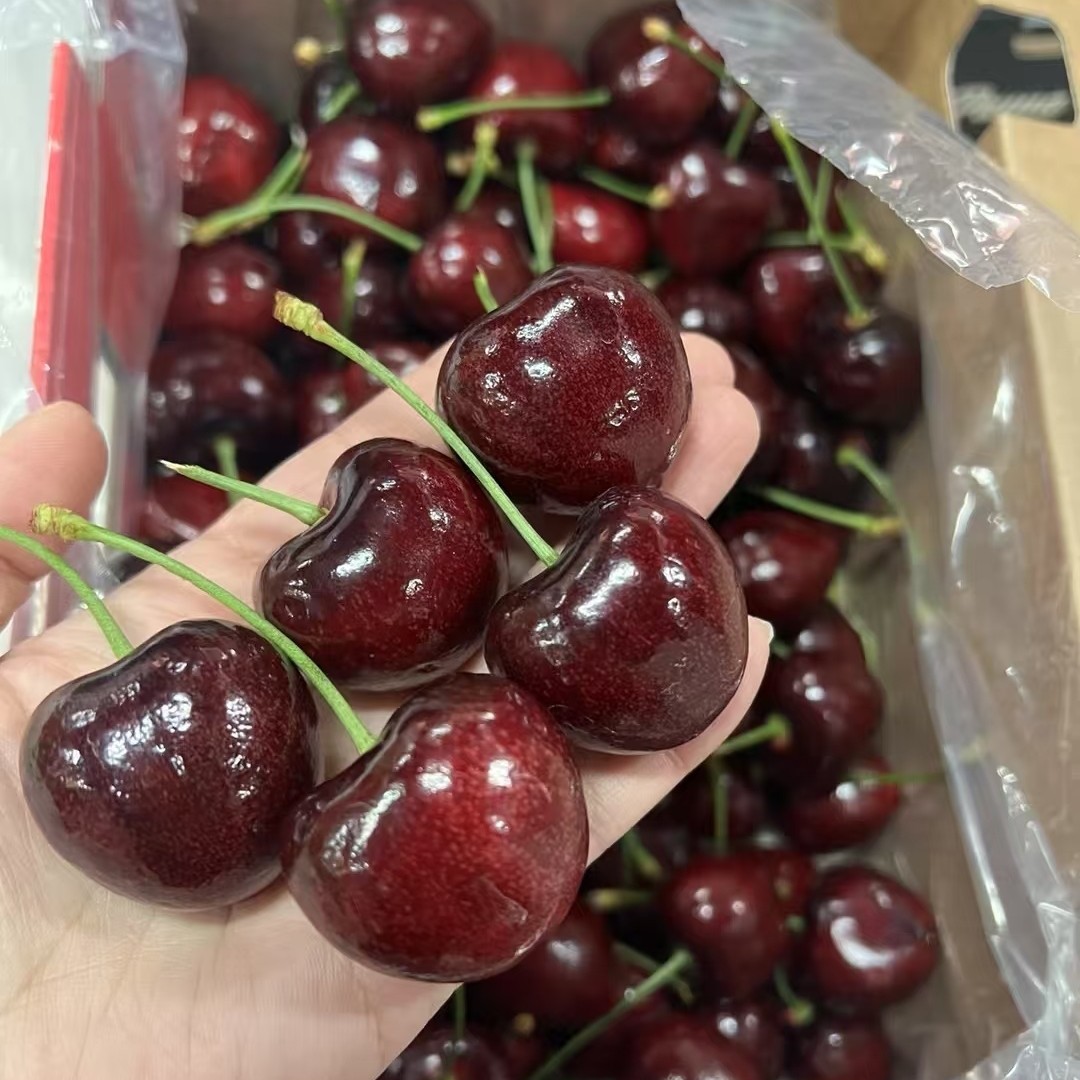 拉宾斯海运2J车厘子一箱5斤内附果径卡（机械采摘各别有机械伤）一箱5颗坏果免开尊口Bing宾智利