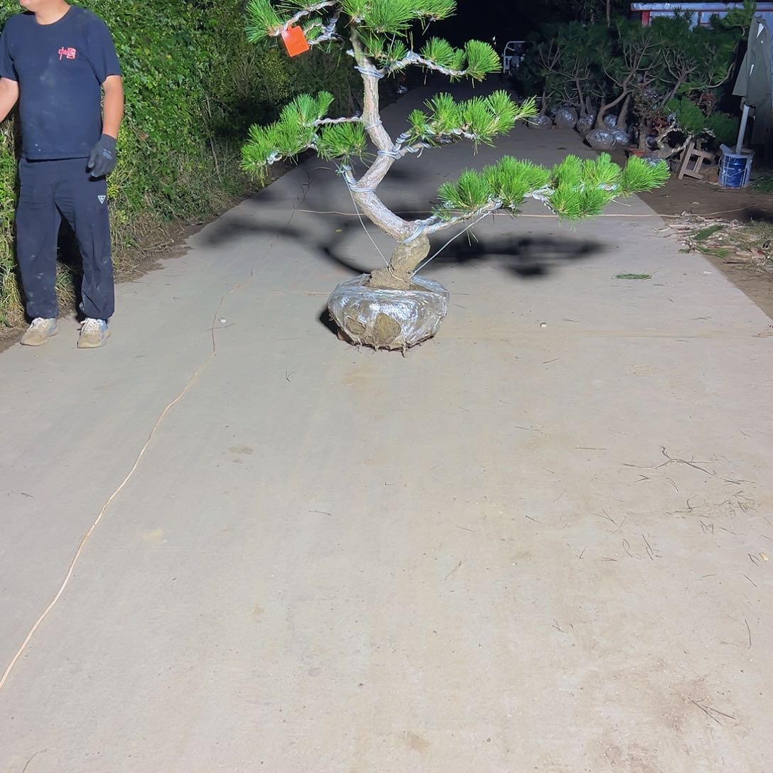 无花朵嫚*88888888888888