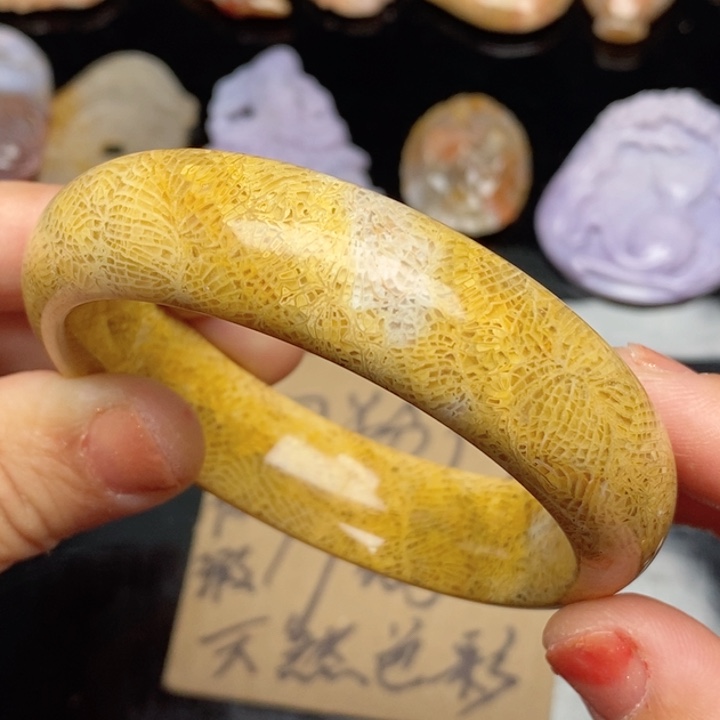 硅化珊瑚（珊瑚玉）手镯未镶嵌57.7