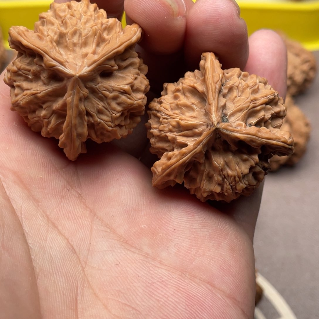 文玩核桃把件核桃