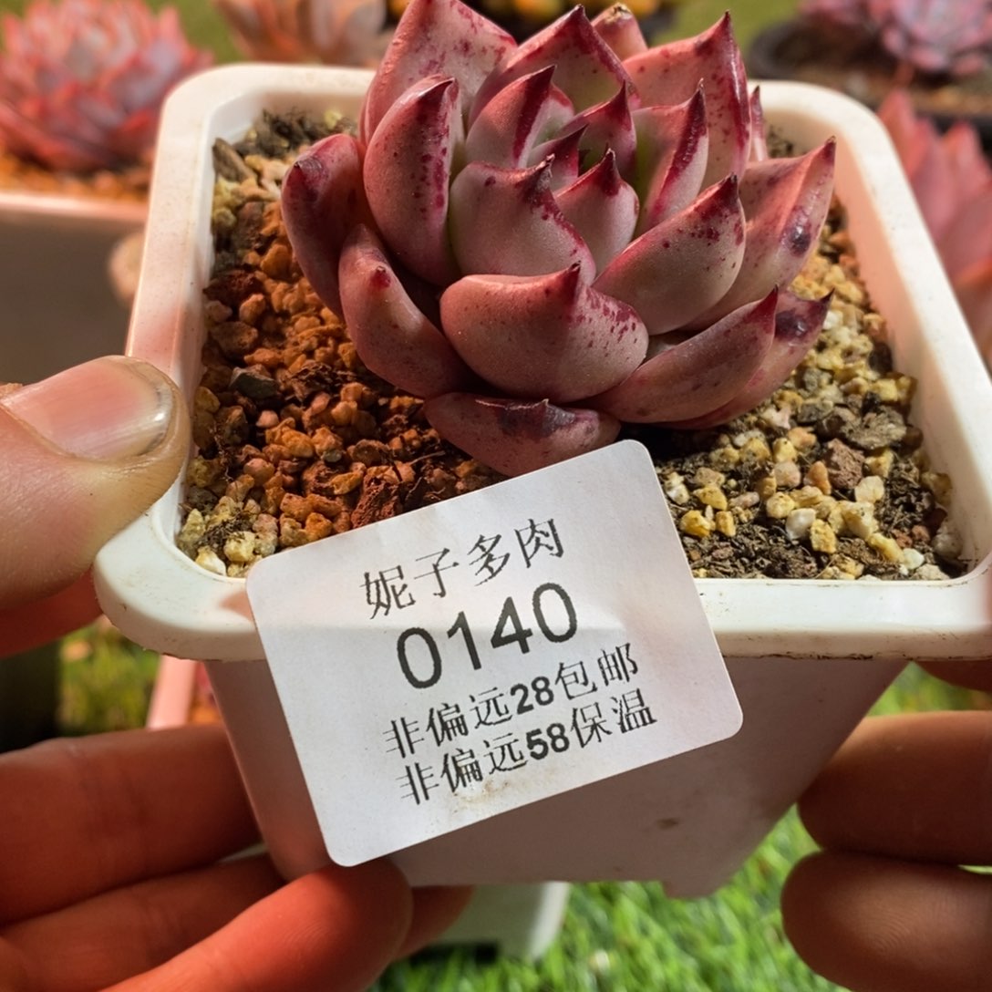 宝*0130啊啊啊啊啊啊呀