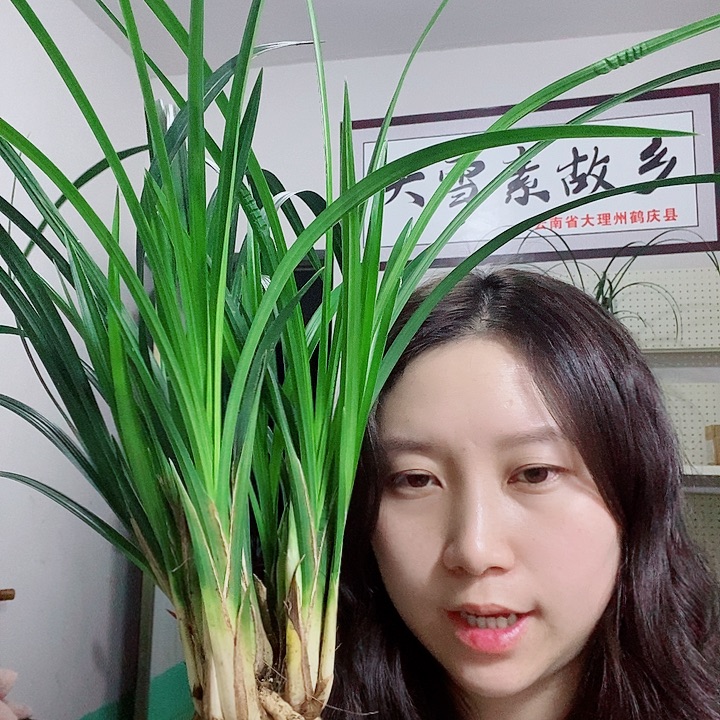 完全开放大大大大大大大的