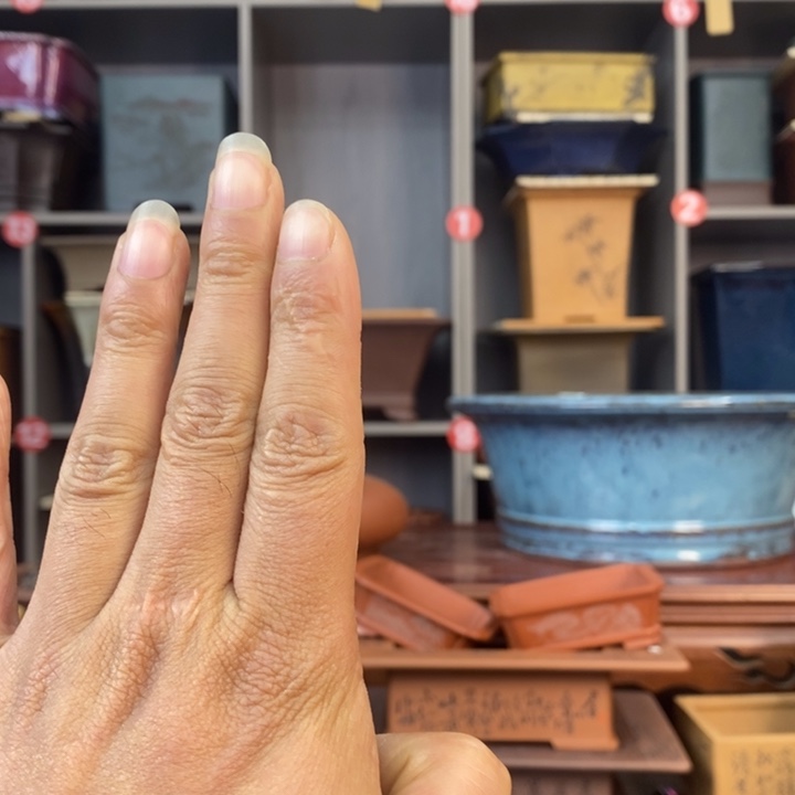 红陶逍**哥宜兴紫砂花盆