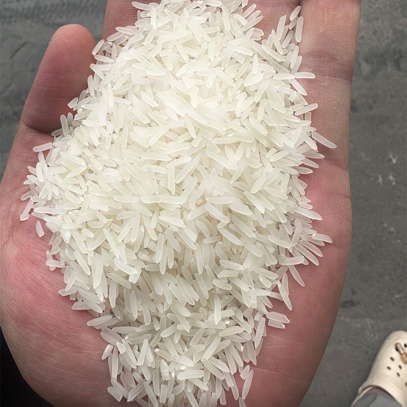 【猫牙米】广西上林正宗猫牙米象牙米