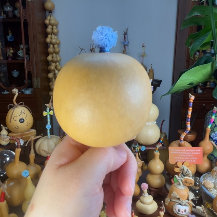 福福苹果型葫芦厚皮满籽