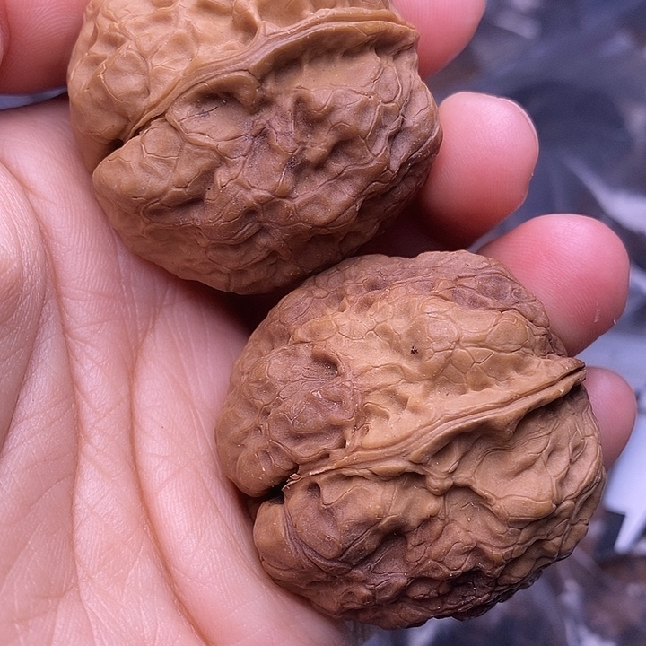 文玩核桃把件  90