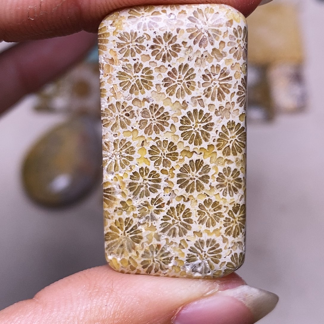 大***行硅化玉合金珊瑚玉