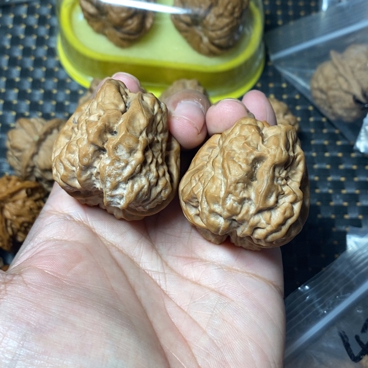 文玩核桃把件蛤蟆41