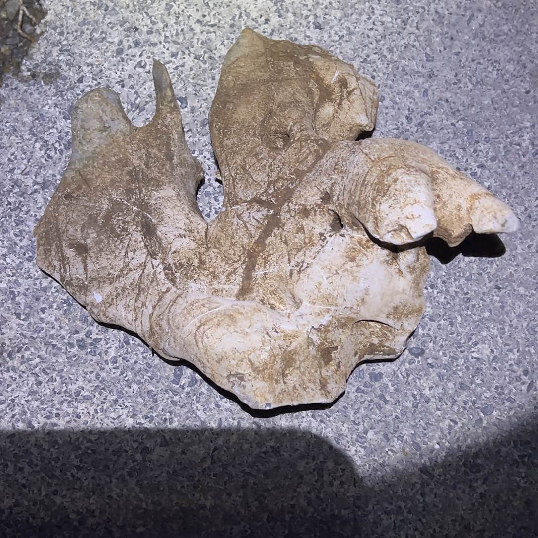 哈哈哈哈哈哈哈哈