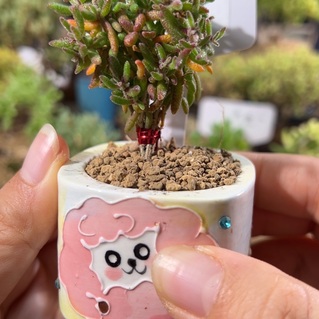 0166火麒麟小精致造型