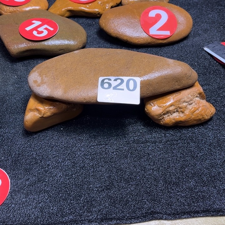 R***.香榧木木头人饿狼在这块