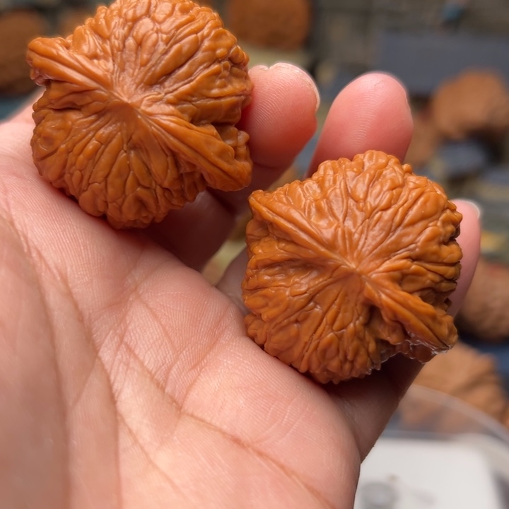 核桃39磨盘磨盘微歪
