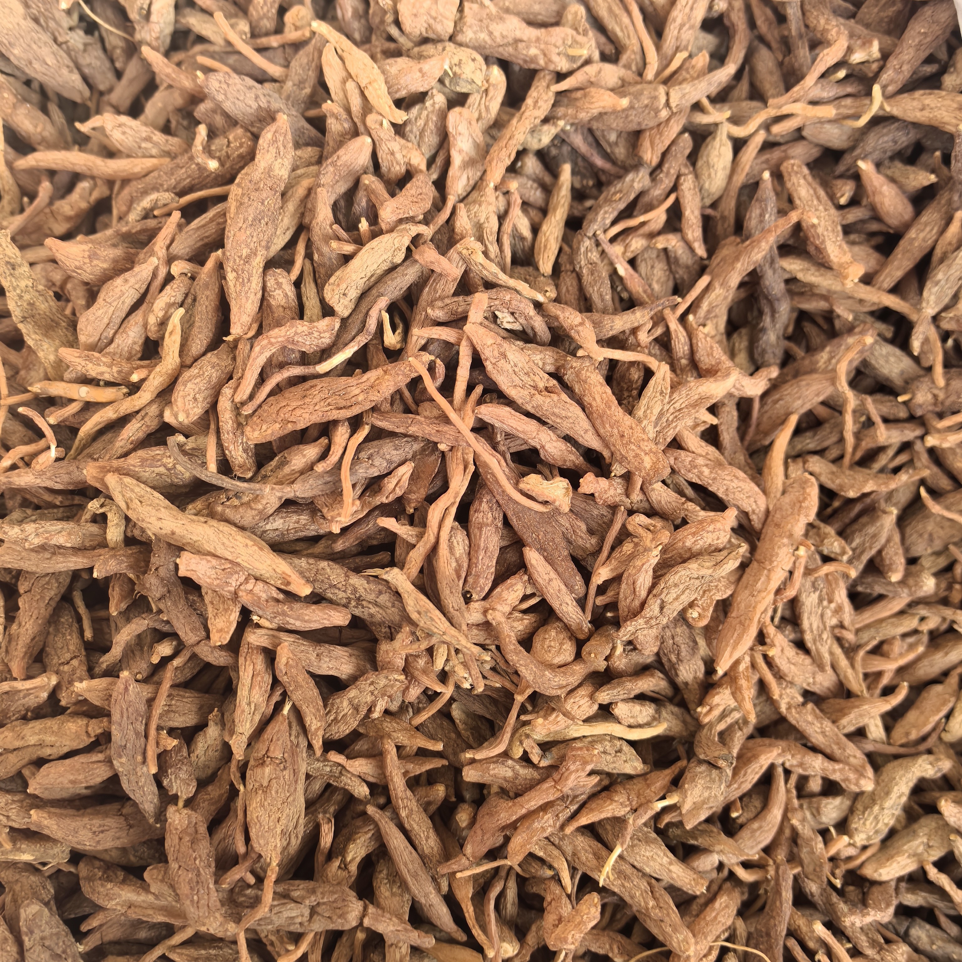 云南下山火山麦冬无硫自然晾晒精选颗粒饱满