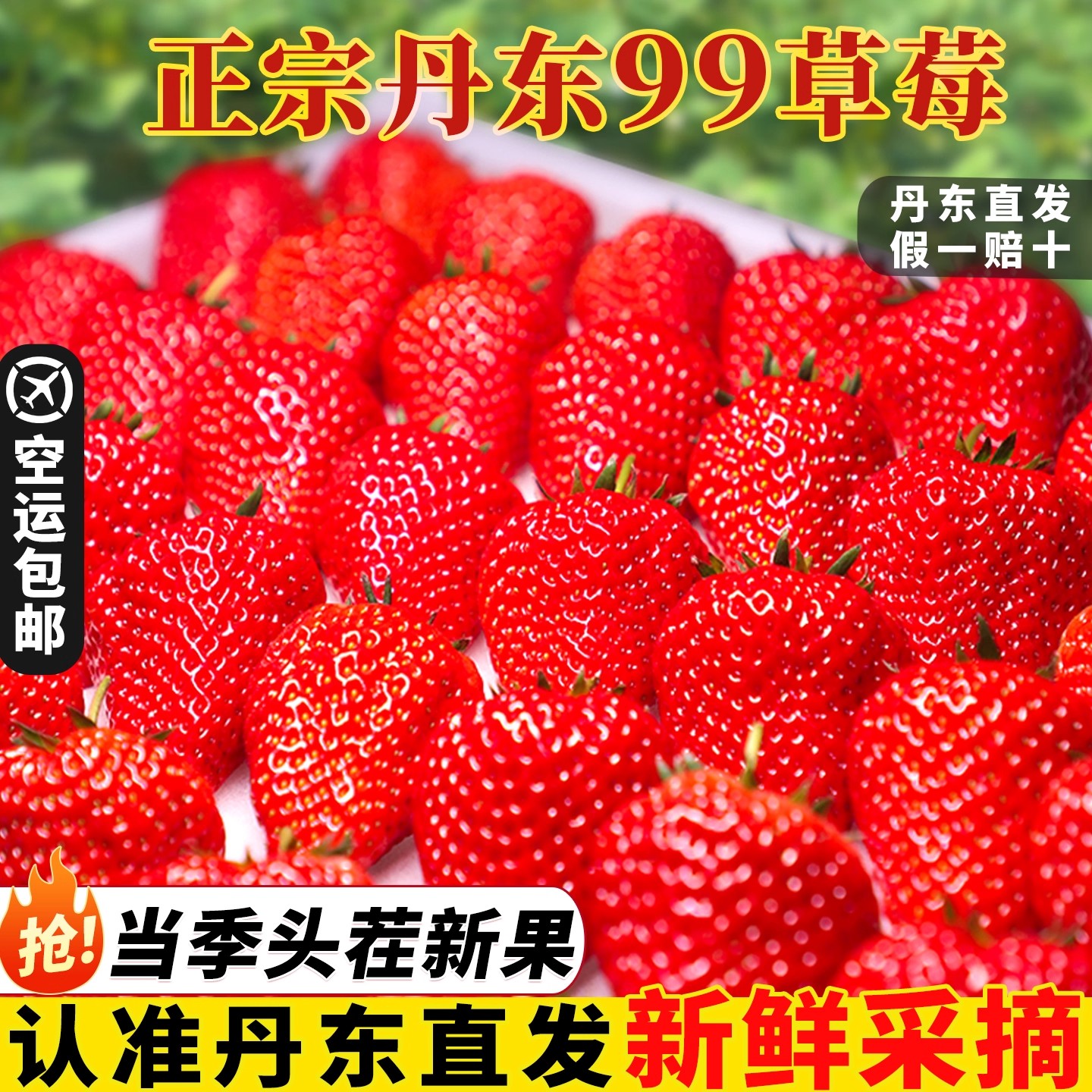 丹东99草莓新鲜水果红颜奶油九九甜牛奶草莓大果礼盒正宗大果空运草莓辽宁省