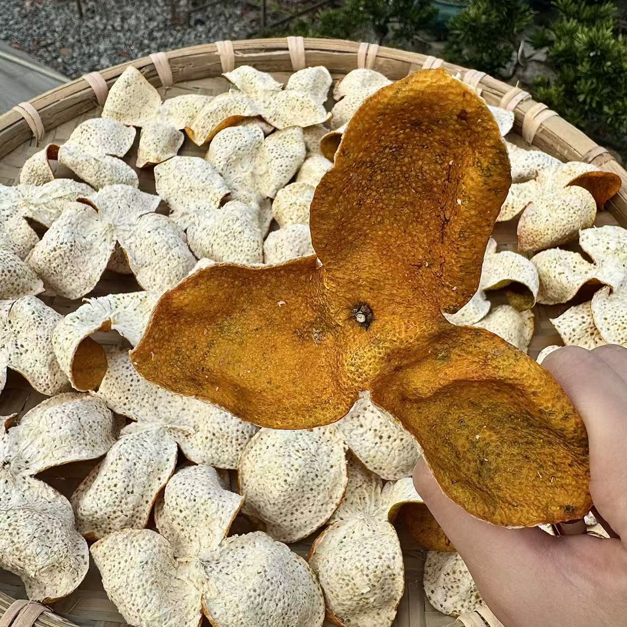 大红首发【2025年东甲牛比围老树油皮大红 蜜兰花香、冰糖甜】小叶油