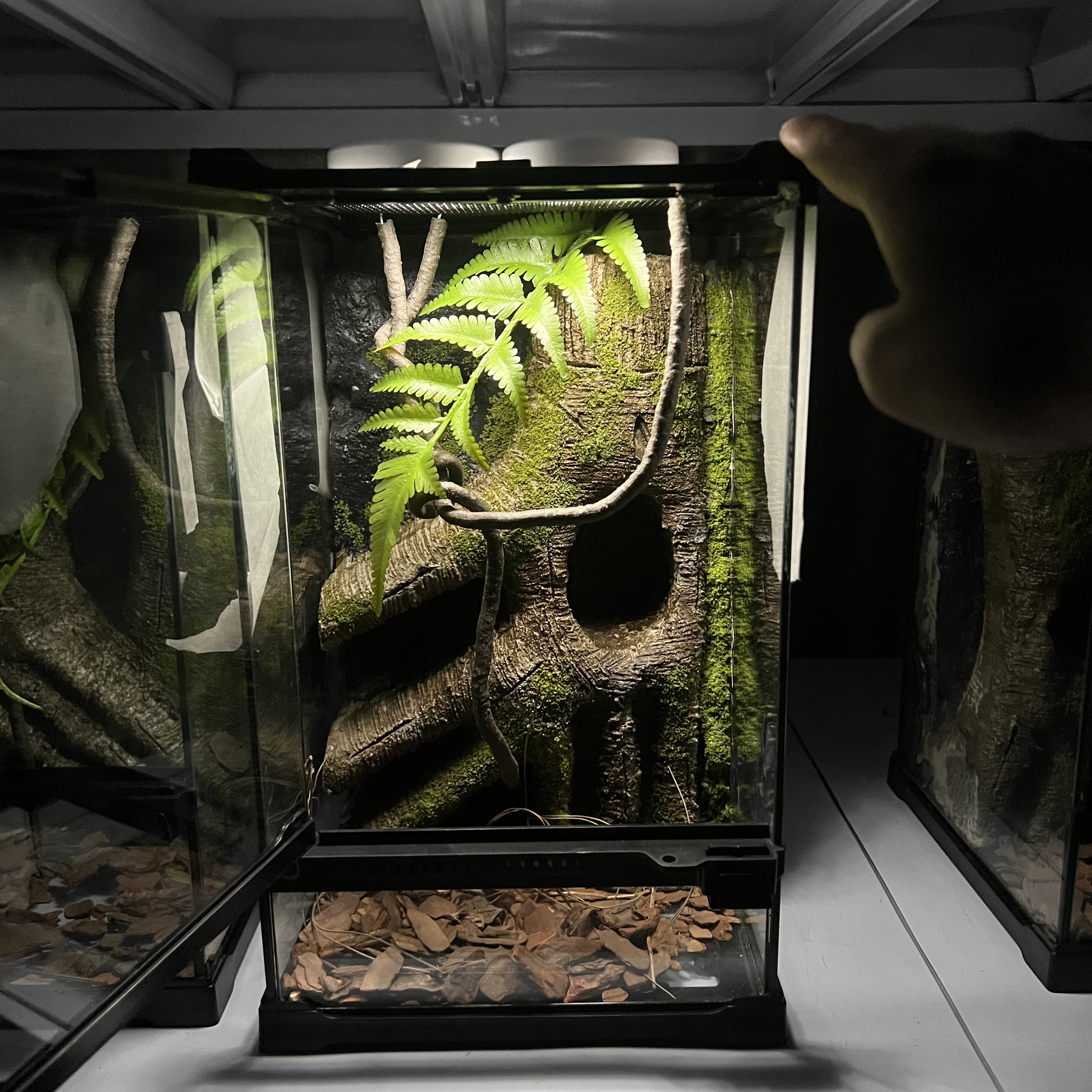 【长20宽20高30】手工制品！艺术家勿扰！想好再出价！