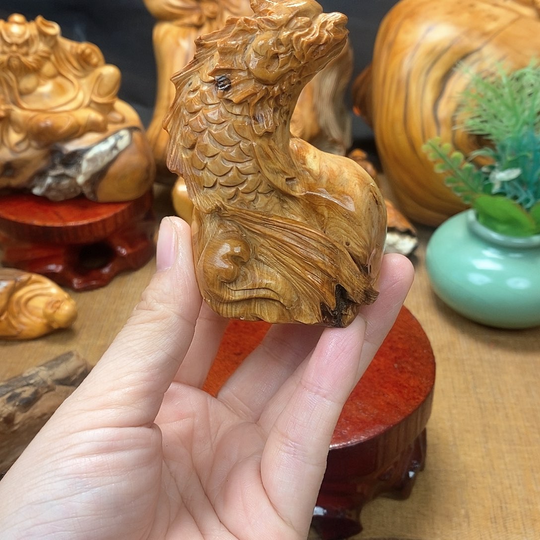 柏木（崖柏）一物一图