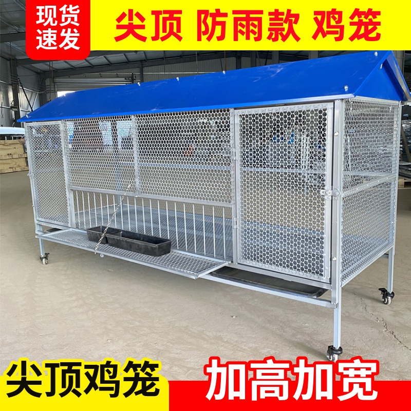室外尖顶防雨款鸡笼养殖笼防蛇防鼠可拆卸大号笼加厚加密探头吃食