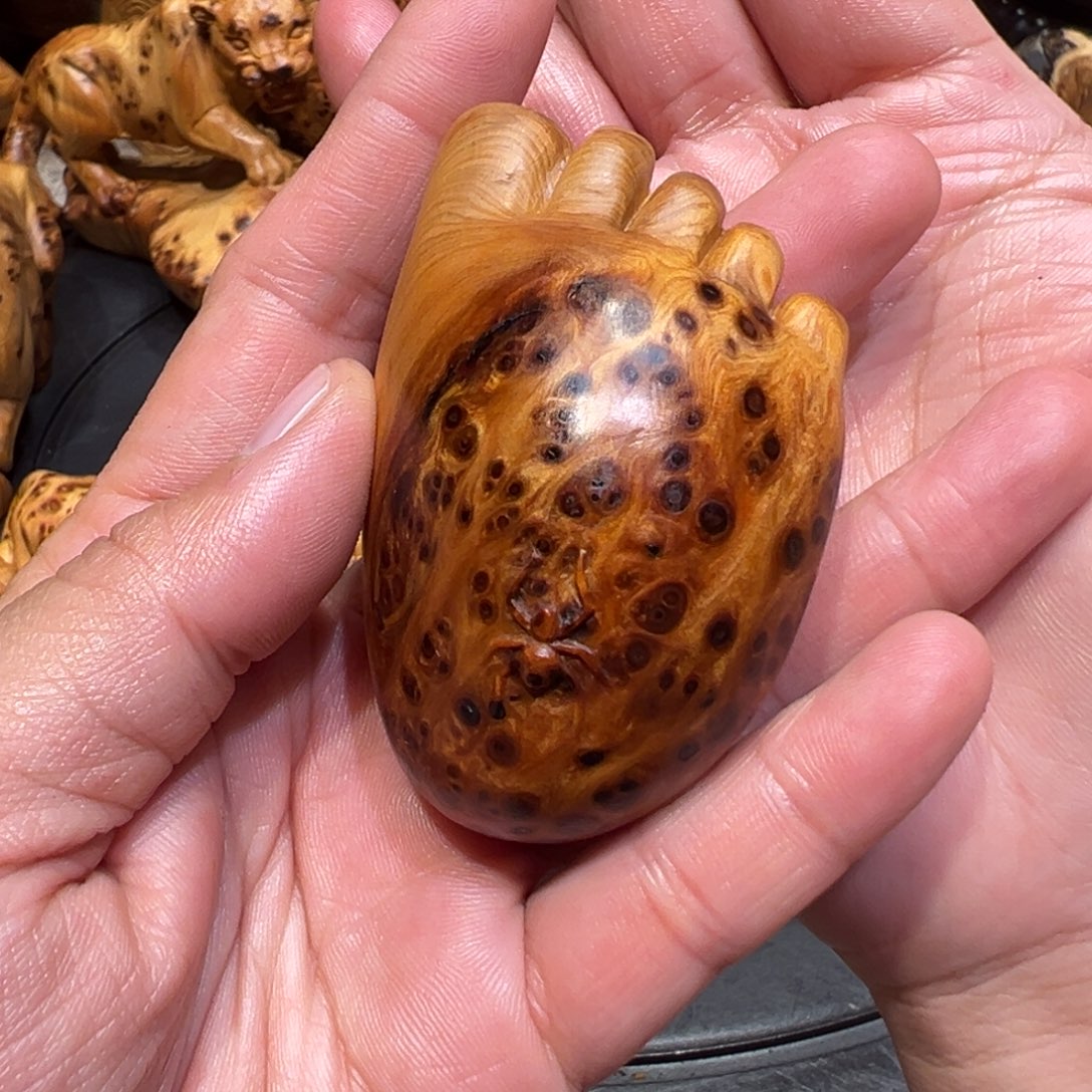 柏木146788999914567788