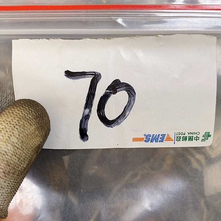 花***尖最美古村专属链接