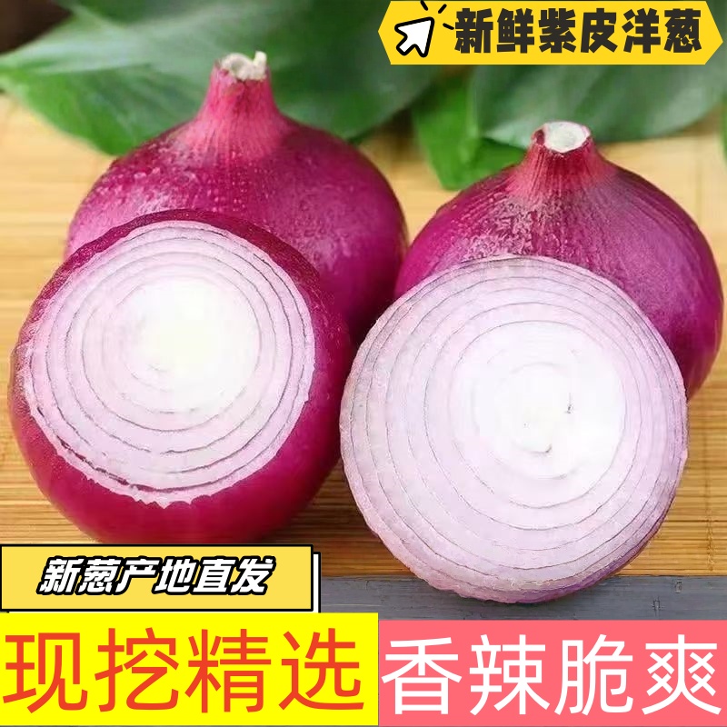 【产地直发】当季紫皮洋葱可生吃圆葱头新鲜现挖自种蔬菜