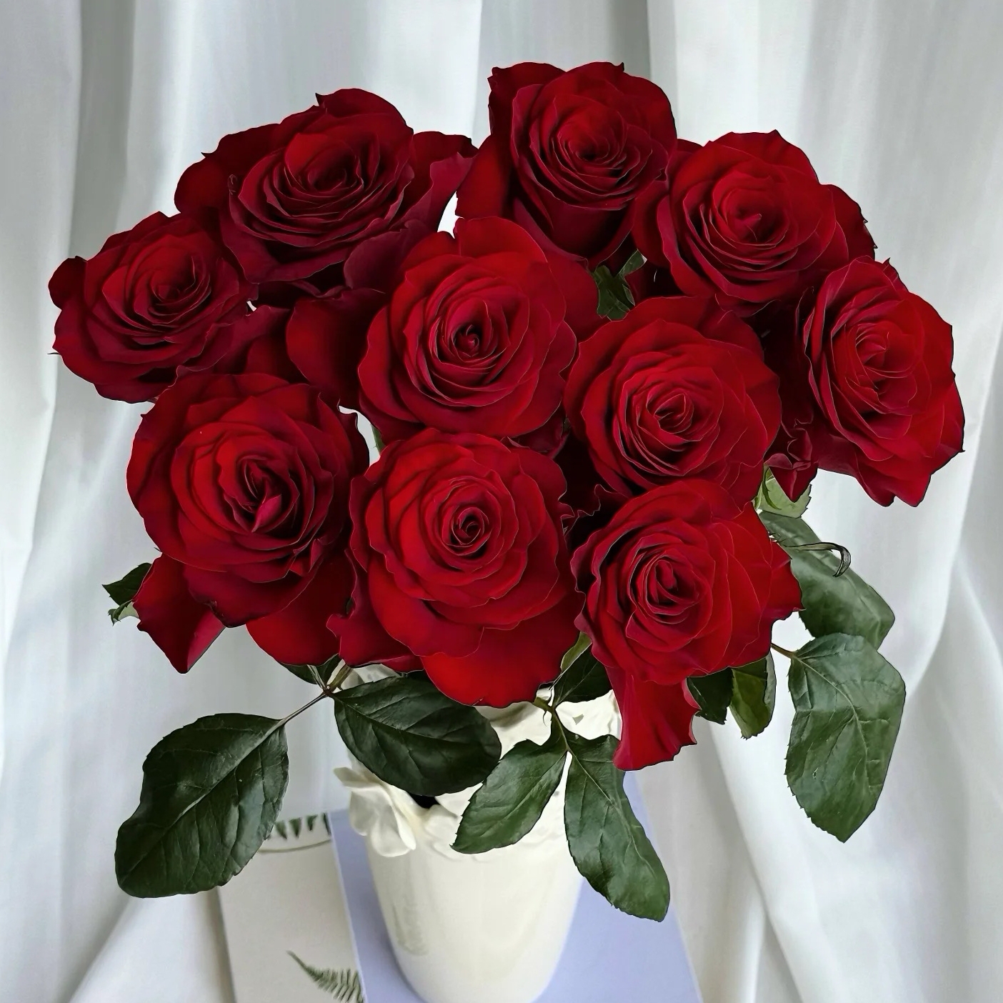 【高原红玫瑰】一单也包邮 高级感 生活鲜花 云南直发